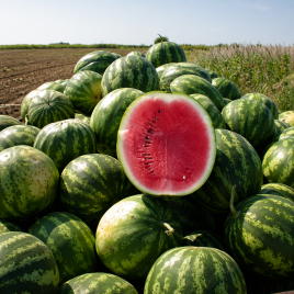 Кримсон Свит семена арбуза среднего 70-75 дн. 9-12 кг окр. (ZKI)