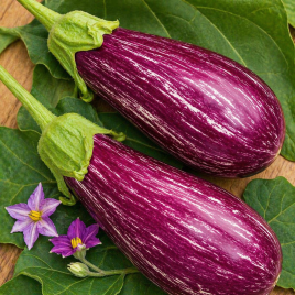 Цаконики семена баклажана полосат. (Seedera)