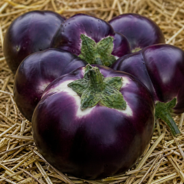 Гелиос семена баклажана (Элитный ряд)