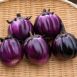 Виолетта семена баклажана (Элитный ряд)