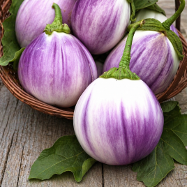 Бьянка Сфумата ди Роса семена баклажана (SAIS)