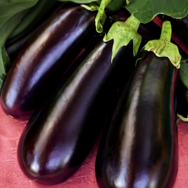 Лонг Вайалетт семена баклажана (Hortus)