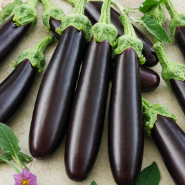 Баклажан Класик 