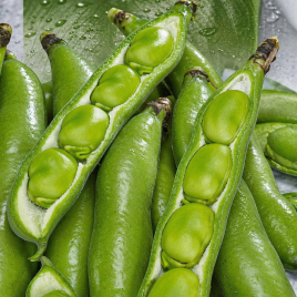 Хангдалин семена бобов зелен. (Seedera)