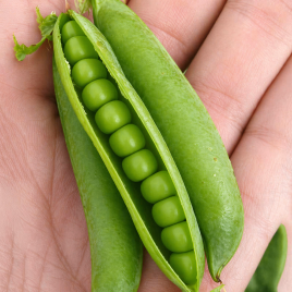 Горох овощной Мегасайз