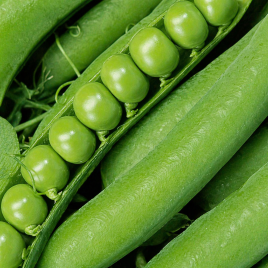 Динга семена гороха овощного (Satimex)