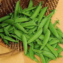 Шугар Бон насіння гороху овочевого (SX)