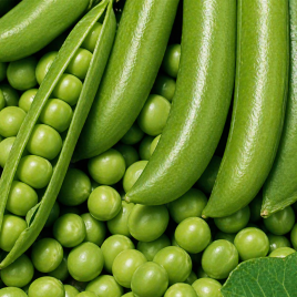 горох динга