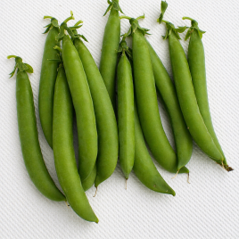 Горох Продіджі 