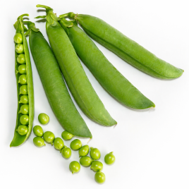 Горох Вондер