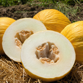 Дыня Амбарино F1 