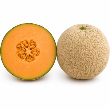 KS 7049 F1 семена дыни тип Cantaloupe (Kitano Seeds)
