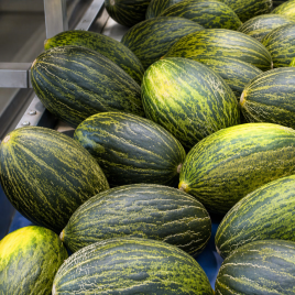 Пьеле де Сапо семена дыни (Hortus)