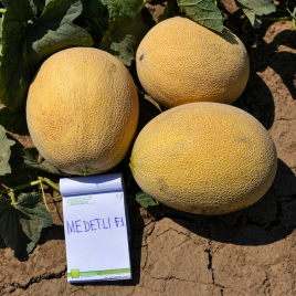 Радміла F1 (Медетлі) насіння дині типу Ананас (Yuksel)