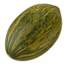 Диня Алмаден F1