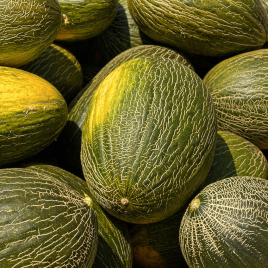 Алкарез F1 семена дыни тип Пиел де Сапо средней 75-85 дн. 3,5-4,5 кг овал. зел./бел. (Enza Zaden)