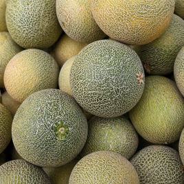 Дыня Хани Дью