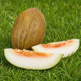 Фиона F1 семена дыни тип Пиел де Сапо средней 75-80 дн. 4-5 кг овал. зел./крем. (LibraSeeds)