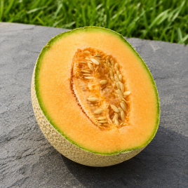 Чандан F1 насіння дині Канталупе середньої 70-75 дн. 1,0 кг окр. помаранч./біл. (Asia Seed)