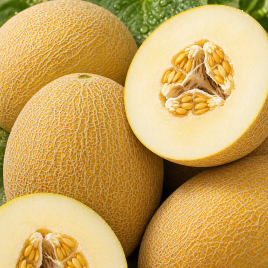 Диня Дідона 