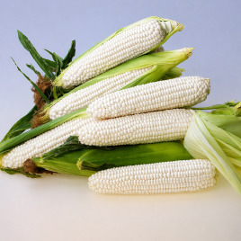 Кукурудза Еден F1 