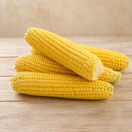 Мегатон F1 семена кукурузы суперсладкой (Harris Moran )