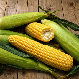 Делікатесна насіння кукурузи сахарної ранньостиглої (ТМ Смачний)