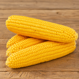 Кукурудза солодка Хан F1