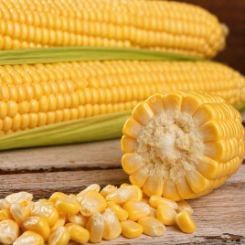 Кукуруза Канзас F1 