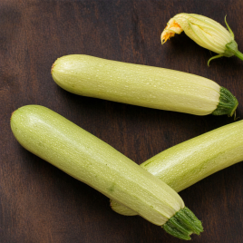 Аймаран F1 семена кабачка (Bayer Nunhems)