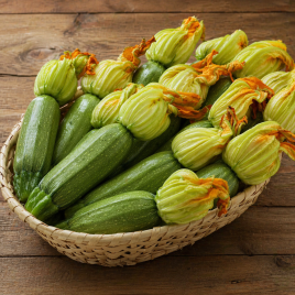 Карамболь F1 семена кабачка (United Genetics)