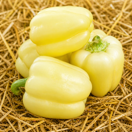 Перець Діадема F1