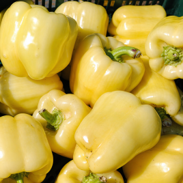 Перець Блонді F1