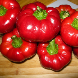 Рубиновый семена перца сладкого (Элитный ряд)