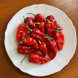 Перець 9020 F1 