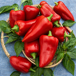 Богатырь семена перца сладкого (Semenaoptom)