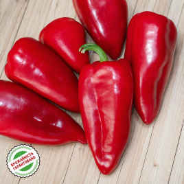 перець лайлак бел