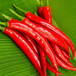 Ангаріка F1 насіння перцю гострого (NongWoo Bio)