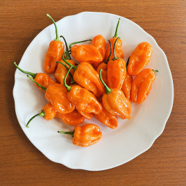 Перець 6001 F1 