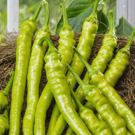 Перець Пепероні Сігаретта Біонда 