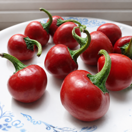 Черри красный семена перца сладкого (Hortus)