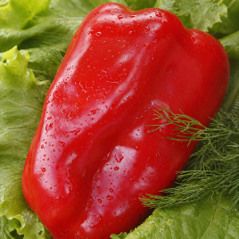 Еремей семена перца сладкого (Элитный ряд)