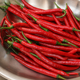 Мова дракона насіння перцю гострого (Елітний ряд)