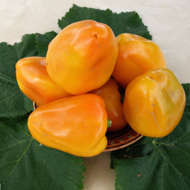 Перець Богдан 