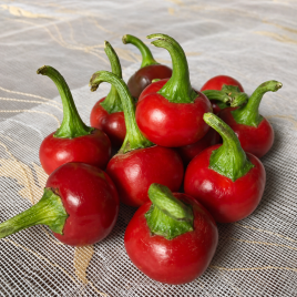 Глобус F1 насіння перцю гіркого середнього 70 дн. окр. 15-20 гр. 2-3 см червон. (Spark Seed)