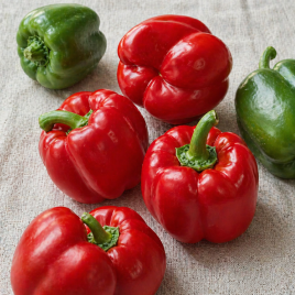 Топ Гриль насіння перцю солодкого раннього
