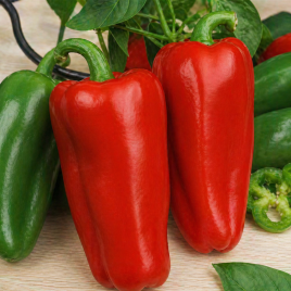 перец испанский