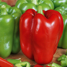 Ожаровський насіння перцю солодкого (Moravoseed)