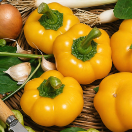 Топепо Еллоу семена перца сладкого тип Ротунда раннего окр. 100-110 гр. 10 мм зел./желт. (Hortus)