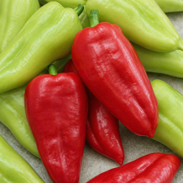 Перец сладкий Словакия